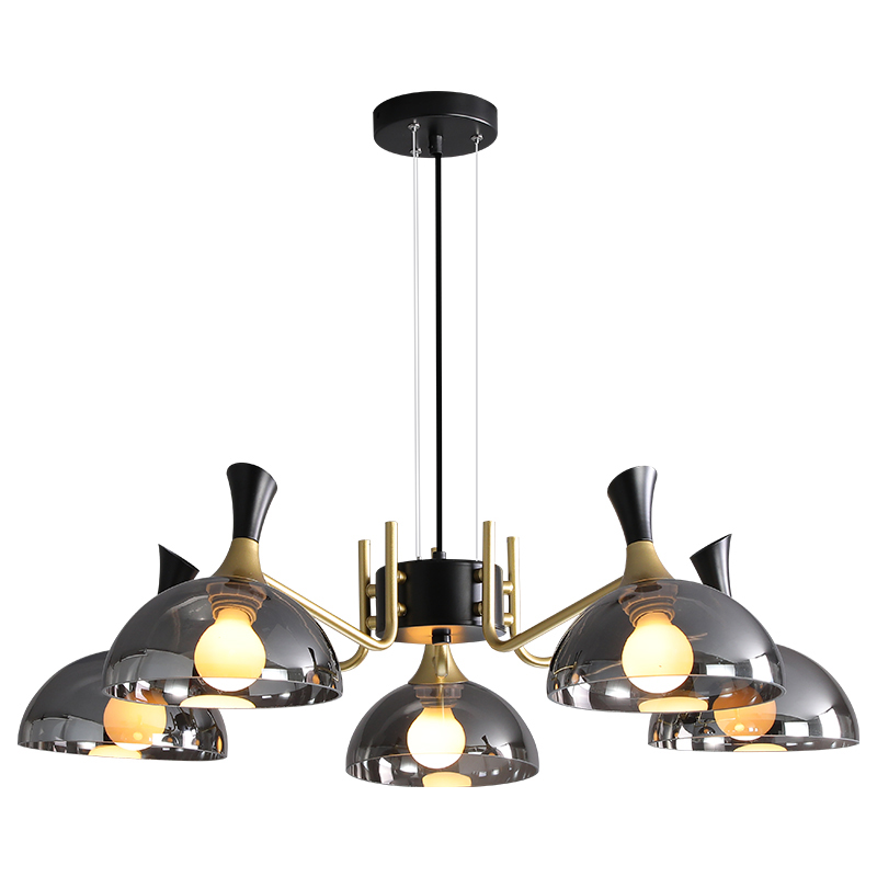 Modern Chandelier Decorative Lighting   Modern Lamp