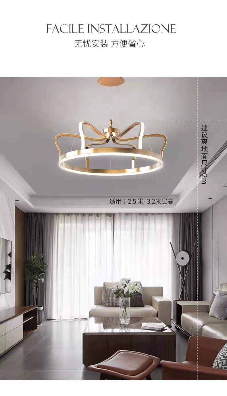 pendant lamp chandelier light lighting fixture Indoor lighting modern lamp  6