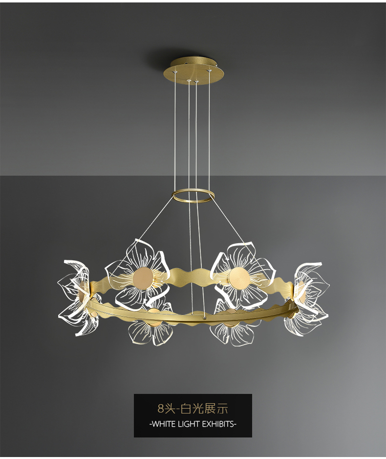 chandelier lighting modern lighting pendant light  led decoration light  9